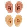 2 Pair 3D Silicone Ear Model Soft Flexible Left Right Ear Simulated Fake Model Practice Tool for Teaching Jewelry Display