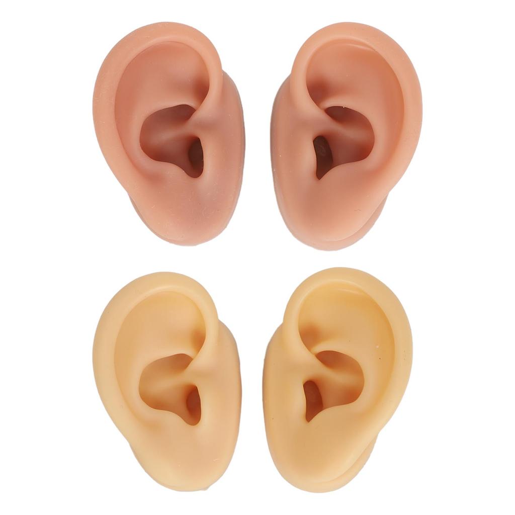 2 Pair 3D Silicone Ear Model Soft Flexible Left Right Ear Simulated Fake Model Practice Tool for Teaching Jewelry Display