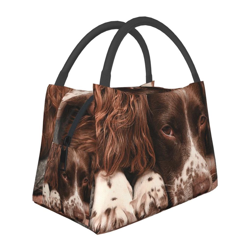 English Springer Spaniel Insulated Lunch Bag for School Bento Storage Food Boxes Container Cooler Thermal Lunch Box Tote