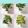 Planta de Vaso Pothos Evergreen Com Material Durável Para Decoração de Casamento e Uso Externo