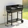 Charcoal Barbecue Grill with 2 Cooking Areas, Portable BBQ Trolley with Wheels, Height Adjustable Grates, Bottom Shelf