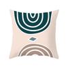 Nordic Ins Style Small Fresh Pillowcase Abstract Plant Flower Scenery Sunset Car Sofa Cushion Cushion Cover