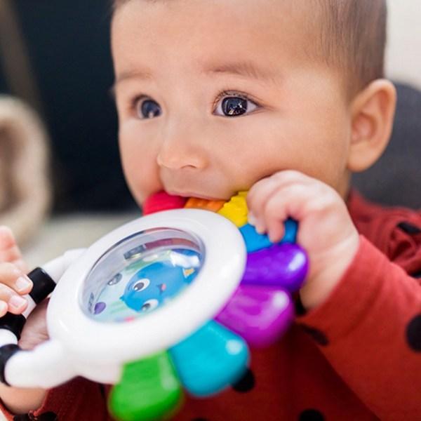 Baby Einstein Sensory Development Octopus Teether, Mixed Colors, Single Item, 1 Piece, Korean Baby Products