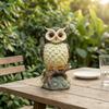 Nocturnal Bird Lamp Light Carved Night with Switch 3D Owl for Bedside, Bedroom, Dorm Room