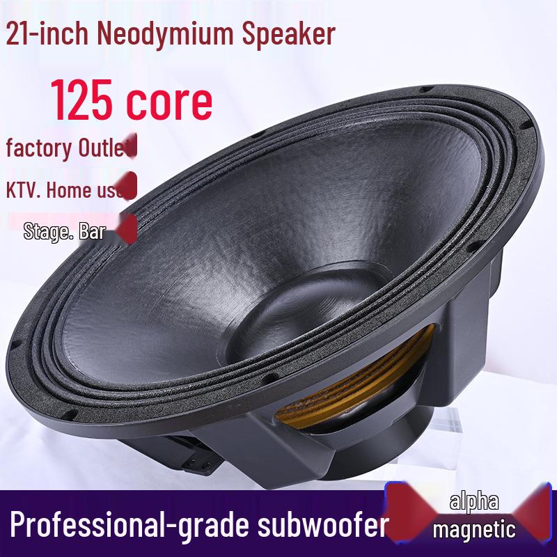 6.5-21 inch High-Power Mid-Bass Pro Stage Speaker with Neodymium Magnet
