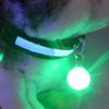 Pingente de Cachorro Redondo Portátil LED Piscante para Animal de Estimação à Noite