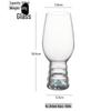 Shangqi High Borosilicate Glass Craft Beer Mug Set