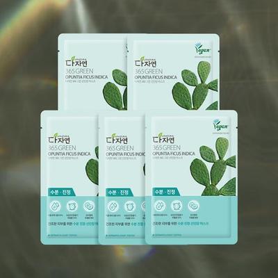 Dajayeon 365 Grüne Kaktusmaske (5 Blätter)