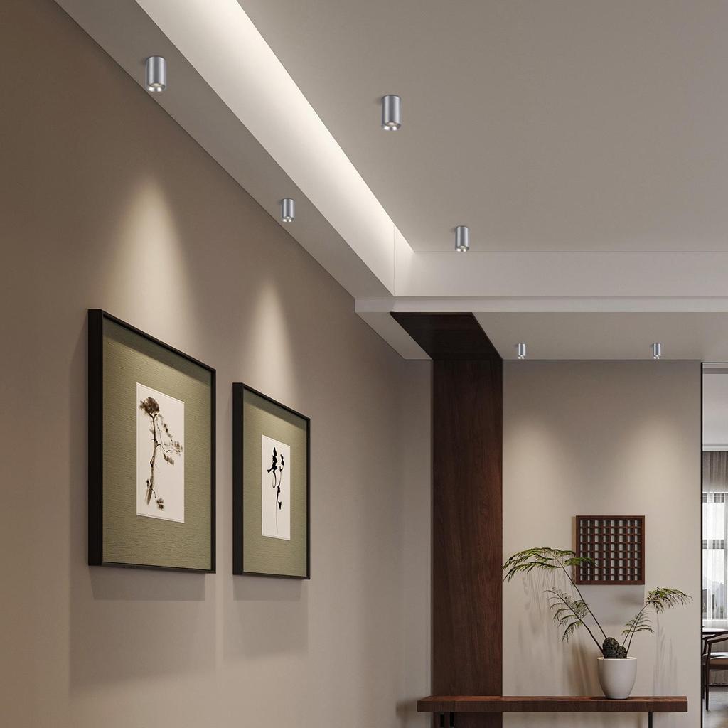 Surface-Mounted Cylinder Spotlight, Anti-Glare Honeycomb, Full Spectrum, Ceiling Light for Bedroom and Living Room.