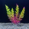 Decorative Artificial Underwater Plants Lifelike Aquatic Water Grass  Fish Tank