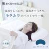 Kitamura Gymnast Plus High Pillow, Made In Japan, Height Adjustable, Washable, KM03J