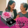 Soap Popular Artificial Single Creative Jewelry Soap Flower Rose Box Gift Silver 925 Necklace for Silver 925 Wedding White Day Day Day [Laluna]
