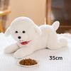 22/28/48CM Simulation Bichon Dog Frise Plush Toys Lovely Puppy Dolls Stuffed Soft Accompany Animal Birthday Xmas Gifts For Kids