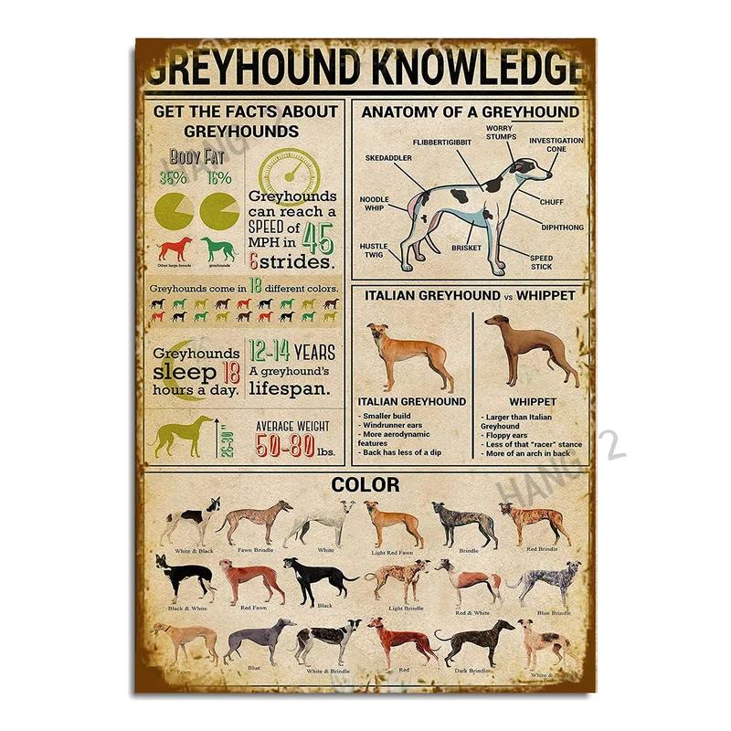 Schilder Blech Metall Poster Du hast gelächelt und ich habe mich verliebt Greyhound Hängeschilder für Zuhause Dekorative Plakette 8X12 oder 12x16 Zoll