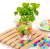Creve Cell Jelly Balls That Expand In Crystal Plant Aqua Puyo Puyo DIY Hydroculture 3000 Water, Balls, Balls, Balls, Balls, Gardening, Houseplants,