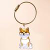 1 Piece Pet Lovers Home Display Gifts Clear Puppy Hair Memorial Keepsake Capsule Pet'S Dog Fur Container Diy Pendant Keychain