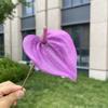 10ks Mini Anthurium Umělé Květiny Falešné Stonky Alokasie pro Svatbu Domácí Květinové Uspořádání Dekorace