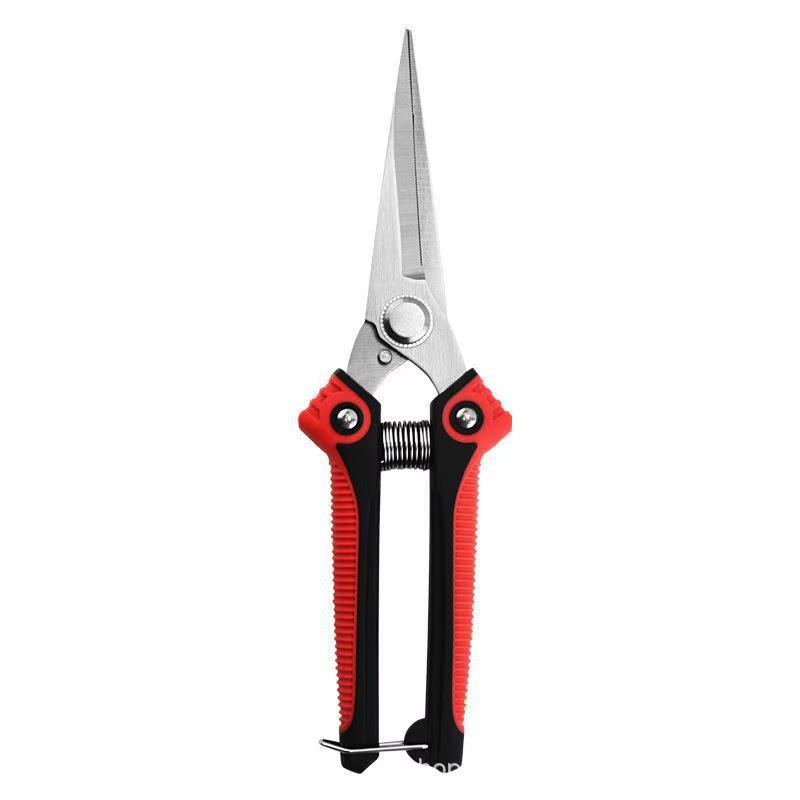 Stainless Steel Pointed Pruning Scissors for Fruit Trees and Vegetables
