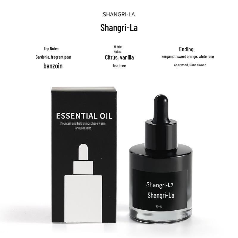 Aroma Stone Essential Oil Diffuser Gift Box - Long-Lasting Indoor Air Freshener & Hotel Ornament with Customizable Fragrance 