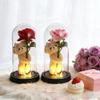 Eternal Rose Flowers Artificial Foil Flower in Glass Glow Immortal Flower LED Roses Lamp Flores Eternas Mother's Day Gift