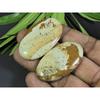 113Cts. 2Pcs Natural Picture Jasper Oval Cabochon Gemstone 24X44-25X45MM A-89