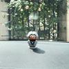 Chicken Pigeon Desktop & Car Ornament: Cute Cai Xukun Ikun Figurine for DIY Decoration
