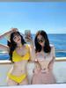 Korean Style Yellow Bikini for Beach & Spring - Sexy, Hot Girl Niche Suit