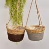 Cattail Woven Hanging Basket: Green Radish Vine Ornaments for Living Room or Balcony