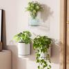 Self Watering Wall Planter Wall Mounted Flower Pot with Reservoir Drainage Holes Decorative Plant Pot for Indoor Room Outdoor Use