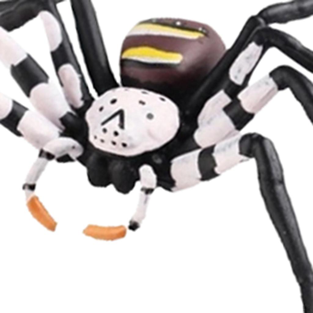 Spider Figurine Realistic Animal Figure Action Model Hand Painted for Kids Children