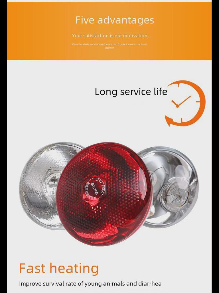 Zagęszczona Wodoodporna Lampa Grzewcza na Podczerwień dla Prosiąt - Odporna na Wybuchy Utrzymywarka Ciepła