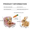 Educational Interactive Bunny Toys Bunnies Can Walk And Talk, Easter Plush Stuffed Bunny Toy Kids Christmas Gifts