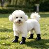 Small Dog Shoes Mesh Breathable Reflective - Outdoor Protectors for Teacup Non- Fit