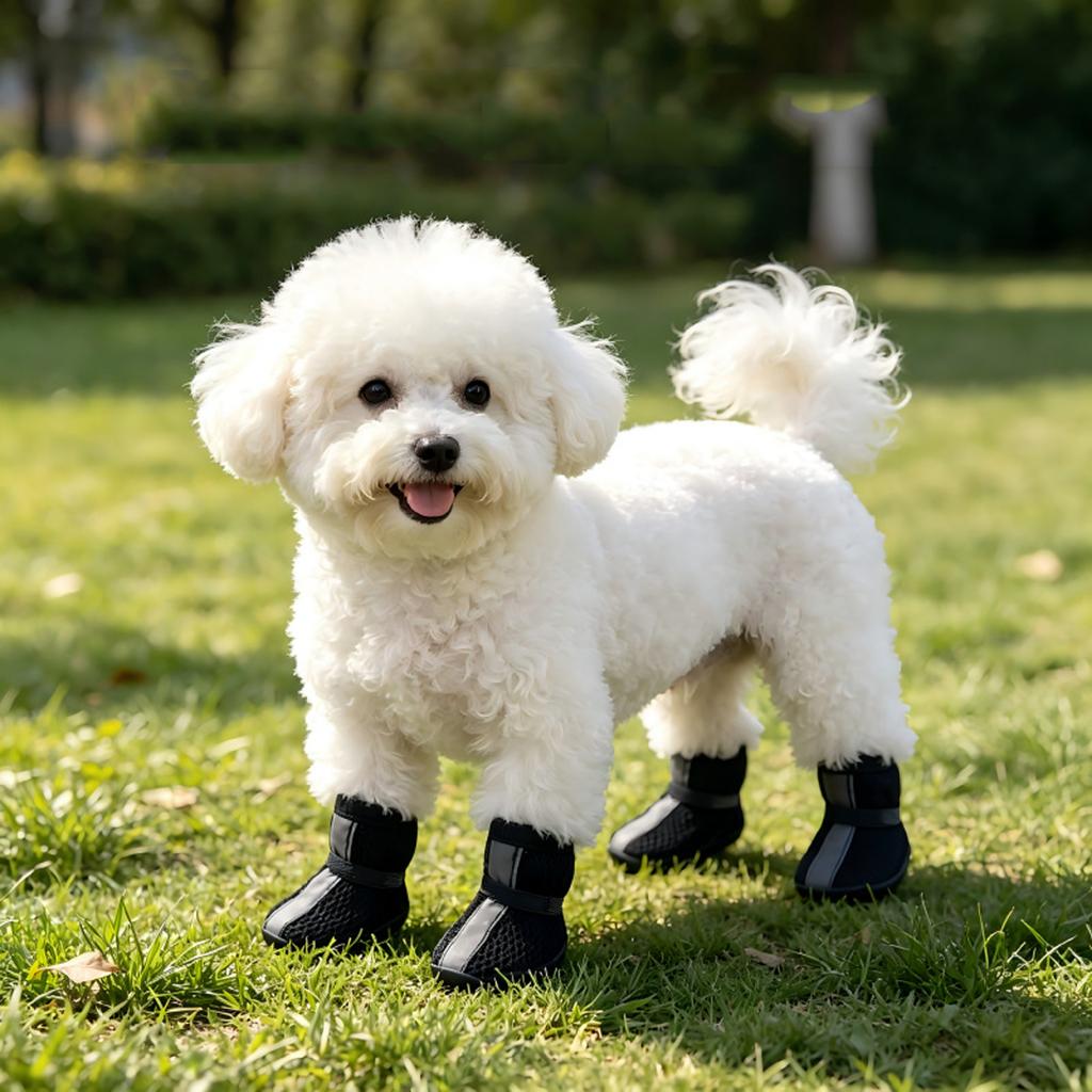 Small Dog Shoes Mesh Breathable Reflective - Outdoor Protectors for Teacup Non- Fit