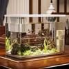 Transparent Plastic Desktop Aquarium: Small Ecological Fish Tank for Goldfish, Ideal for Living Room or Table Landscaping