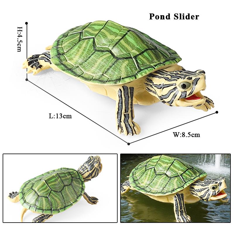 Oenux Sea Life Animals Model Leatherback Tortoise Turtle Growth Cycle Ocean Figurines Action Figures PVC Collection Kid Toy Gift