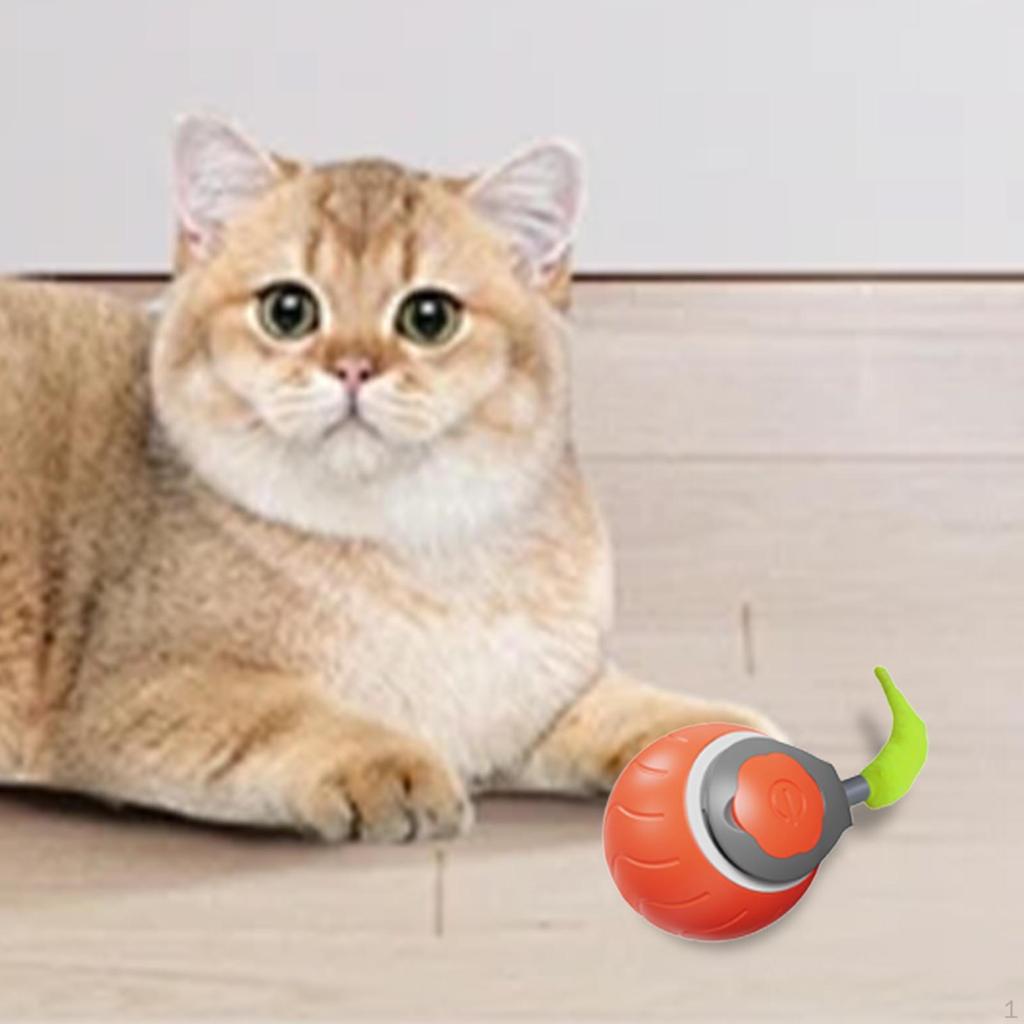 Automatic Rolling Cat Toy Ball, Interactive Play Tool for Kittens