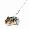 Anti-Bite Hamster Walking Leash & Interactive Toy for Pets