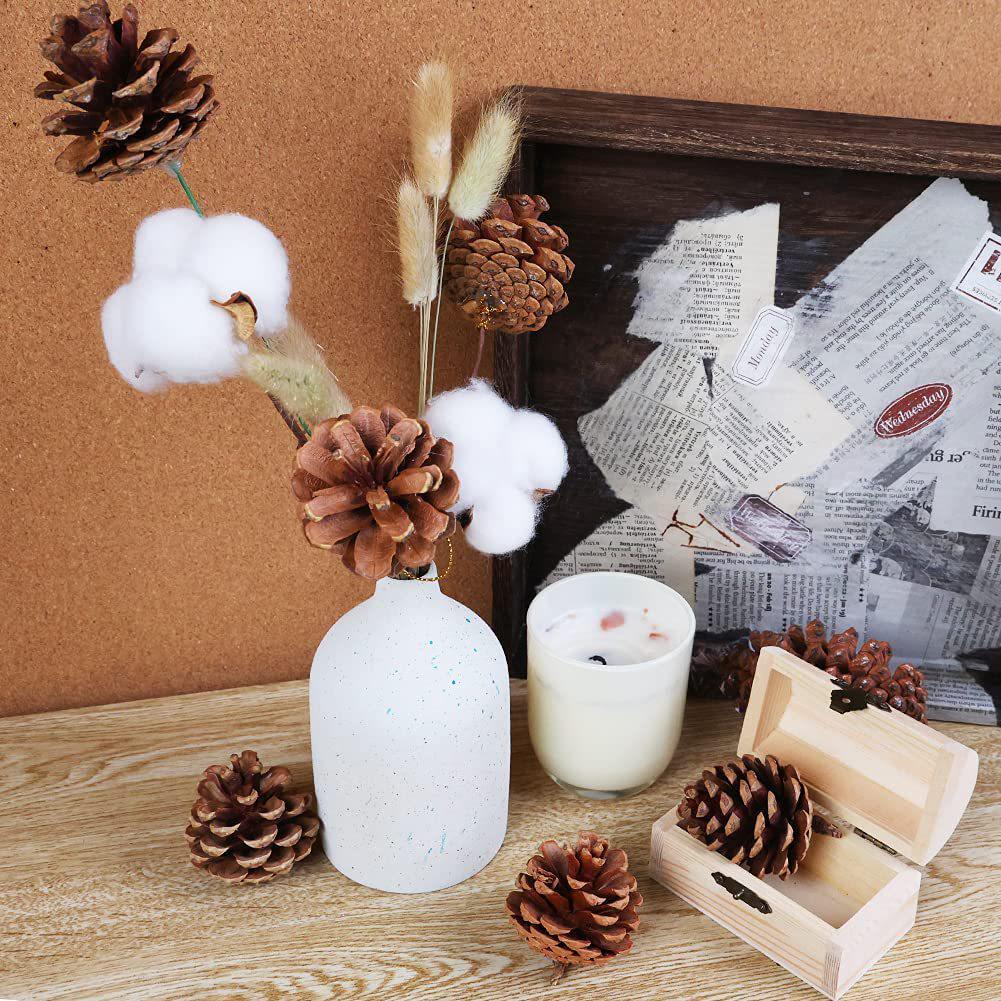 Natural Pine Cones for Halloween & Christmas DIY Crafts, Ornaments, Pendants, Decorations & Photography Props