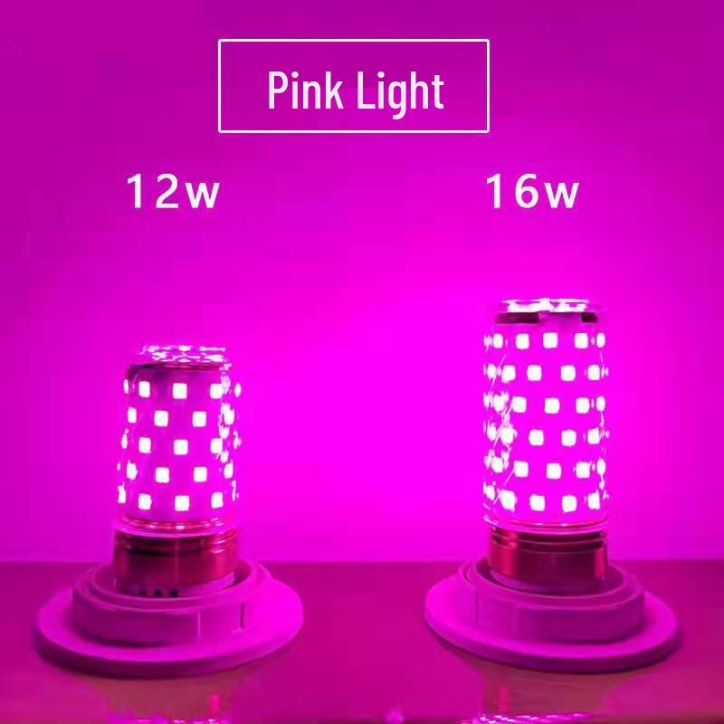 LED- Farbwechselnde Romantische Schlafzimmerlampe für Atmosphäre und Fotografie