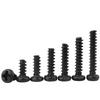 Black Carbon Steel Phillips Pan Head Self-Tapping Screws with Flat Tail