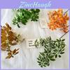 Realistic Greenery Indoor Decor Plant With Silk Printed Leaves For Wedding And Photography
