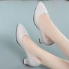 Work Shoes Single Order Shoes Women's Leather Shoes Pointed Toe Thick Heel Versatile Shallow Mouth Women's Shoes