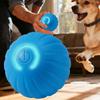 Interactive Dog Toys Automatic Interactive Type-C Rechargeable Pet Games Small Dog Toys For Indoor Outdoor Play Training