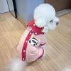 Winter Thickened Warm Dog Coat for Small Dogs Teddy Bichon Pomeranian Cats Pet Clothes Dog Costume Dog Clothes for Big Dogs