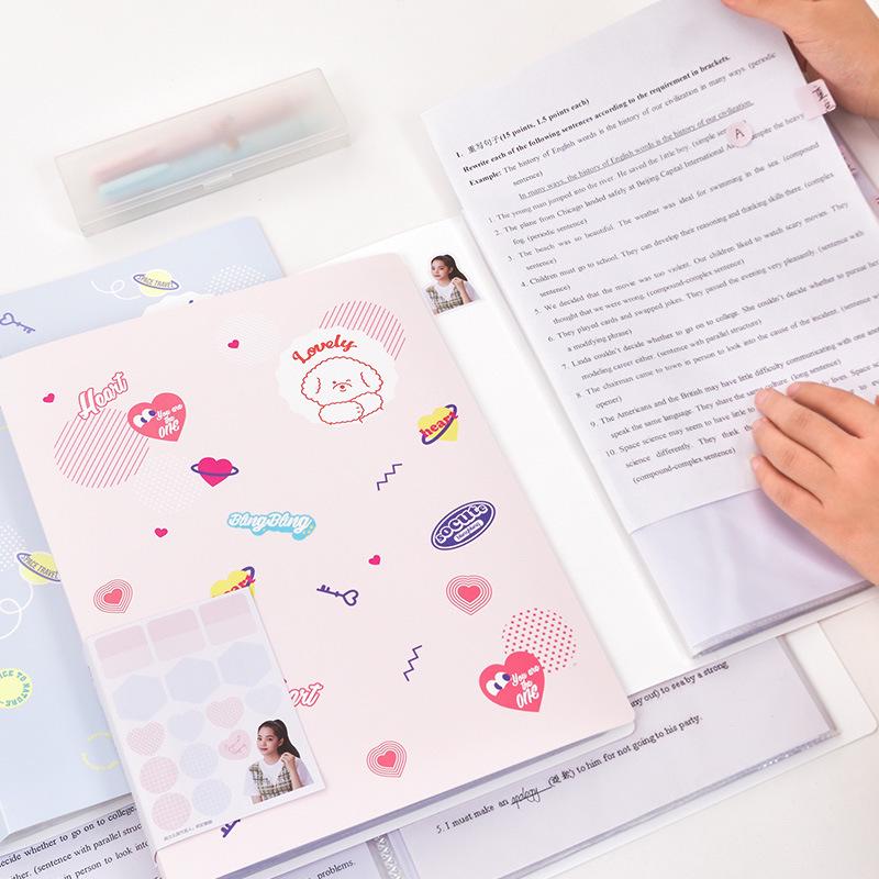 Průhledná složka na dokumenty A4 pro studenty – Ideální na testové papíry, prenatální vyšetřovací záznamy, noty a další.