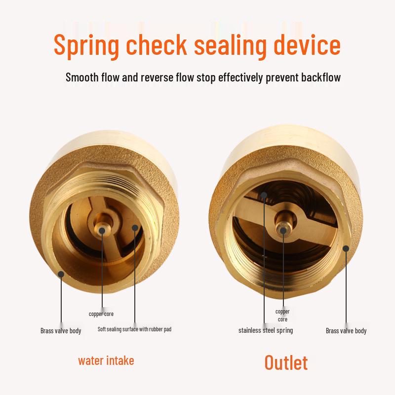 All-Copper 1-Inch Vertical Spring Check Valve with Male/Female Threads, One-Way Backflow Preventer for Water Pipes and Meters.