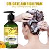 Ingwer-Shampoo – Tiefenreinigung und Fettentfernung – Macht die Haarwurzeln geschmeidiger – Für fettiges und schuppiges Haar