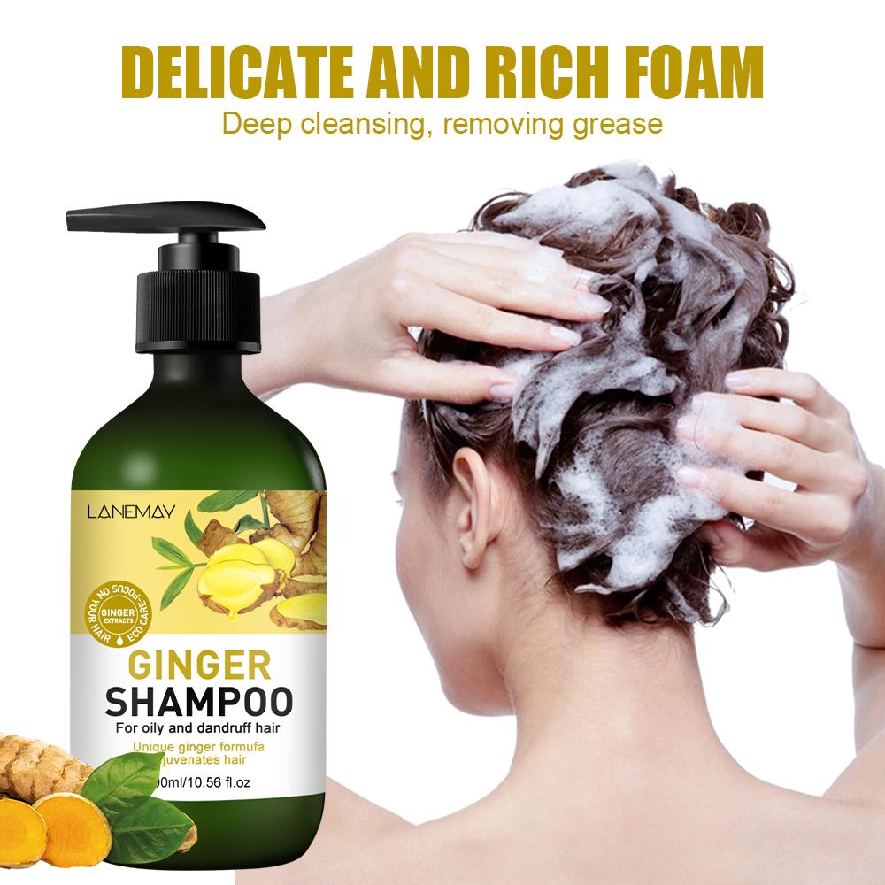 Ingwer-Shampoo – Tiefenreinigung und Fettentfernung – Macht die Haarwurzeln geschmeidiger – Für fettiges und schuppiges Haar
