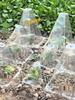 Durable Seedling Protection Cover: Windproof, Frostproof, Insect & Bird Barrier for Vegetables, Reusable Greenhouse Shield